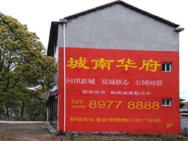 原阳县百分之90的人都不了解的农村墙体广告
