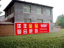 原阳县如何让墙体广告展现最大化效果
