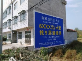 原阳县墙体广告质量分析