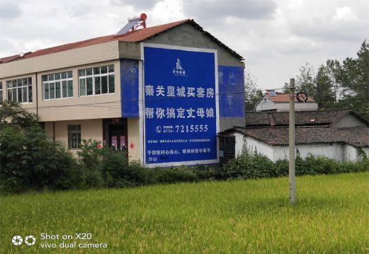 原阳县决定墙体广告价格的因素有哪些?